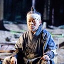 뿌리깊은 나무 이미지