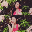 설현 카카오 검색결과