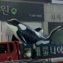 고래관광나이트 이미지