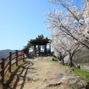 금락정(부용리) 화장실 이미지