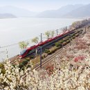 나주시청 자전거 대여소 이미지