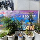 해안물양장 이미지