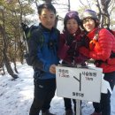 이상오농장 Daum카페