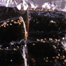 대박꼬마김밥 이미지