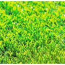 유지방의원 이미지