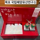 신비한바닷길해산물 | 목포 아이와 가기 좋은 무료관광지 국립해양유산연구소