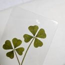 사랑나눔약국 | 조카 2를 만나게 되어 신났던 10월 일상