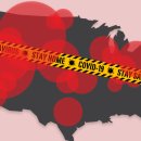 지씨바이오 이미지