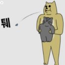 일산애견스쿨 이미지