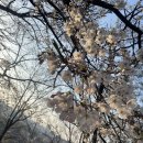 세라믹 페인팅(야간) 이미지