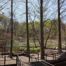 우면산 (소망탑 깔딱고개) | 6살 아이랑 등산 추천, 걷기좋은 서울 가을산 10곳