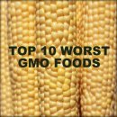 GMO 식품리스트 : 상위 10 최악의 식품 이미지