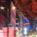 K-컬처의 중심, 빛으로 꿈틀꿈틀~ '명동 빛 축제' 이미지