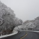 늘봄공원 삼거리 이미지
