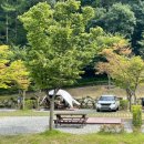 숲 펜션&캠핌장 이미지