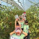 토마토유치원 이미지