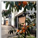 화순 동면의 환산정과 전원마을 이미지