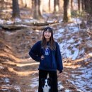 멍냥스테이 애견호텔유치원 이미지