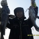 갈매기1호 이미지