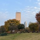 2025.11.27.(목요일) 여의도 한강 공원을 함께 걸어요. 이미지