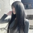 애쉬그레이 카카오 검색결과