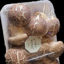 국용농장 이미지