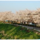 구로-구로-구로-2043 이미지