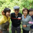 용원초교 이미지