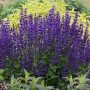 나눔허브 이미지