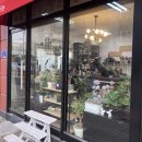 스콜라플라워