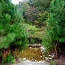 천사봉 오토 캠핑장 이미지