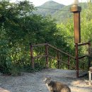 벳소캠프 이미지