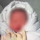 효자동물병원 - 포항시 남구 효자동길2번길 25 | 산본제일병원 제왕절개 후기①ㅣ39주 출산ㅣ초산모ㅣ1인실