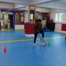 봉황태권도장 이미지