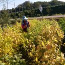 승기농장 이미지