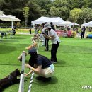 송파동물의료센터 이미지