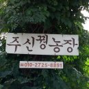 덕의농장 Daum카페