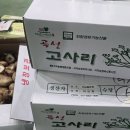 곡성-038 Daum카페