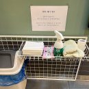 메디엘 | 구래동 동물병원 메디엘동물병원 심장초음파검사 후기