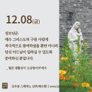 2023년 나해 한국 교회의 수호자 원죄 없이 잉태되신 복되신 동정 마리아 대축일 이미지