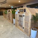 바이러스게임방 | 김포 사우나 찜질방 추천 김포스프링스파24