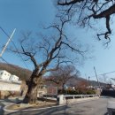 야외정원 스케치 이미지