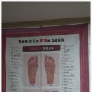 천연머리염색(기분좋은날) 네이버블로그