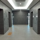 하나린태권도장 이미지