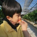 원뜰농장 이미지