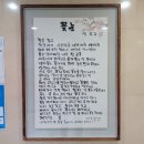프리덤라이프