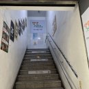 댕댕가르텐 강아지애견유치원호텔 이미지