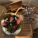 라탄 | [청주] 오송원데이클래스 힐링 태교 🪴 테라리움 만들기 🪴 이음라탄 - 솔직후기