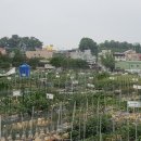 도시농장 이미지