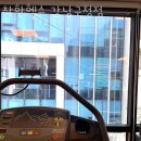 착한헬스 강남구청점 | 논현동헬스장 착한헬스 강남구청점 가격 위치 이벤트